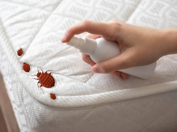 Best Emergency Pest Control  in Hubbard, TX